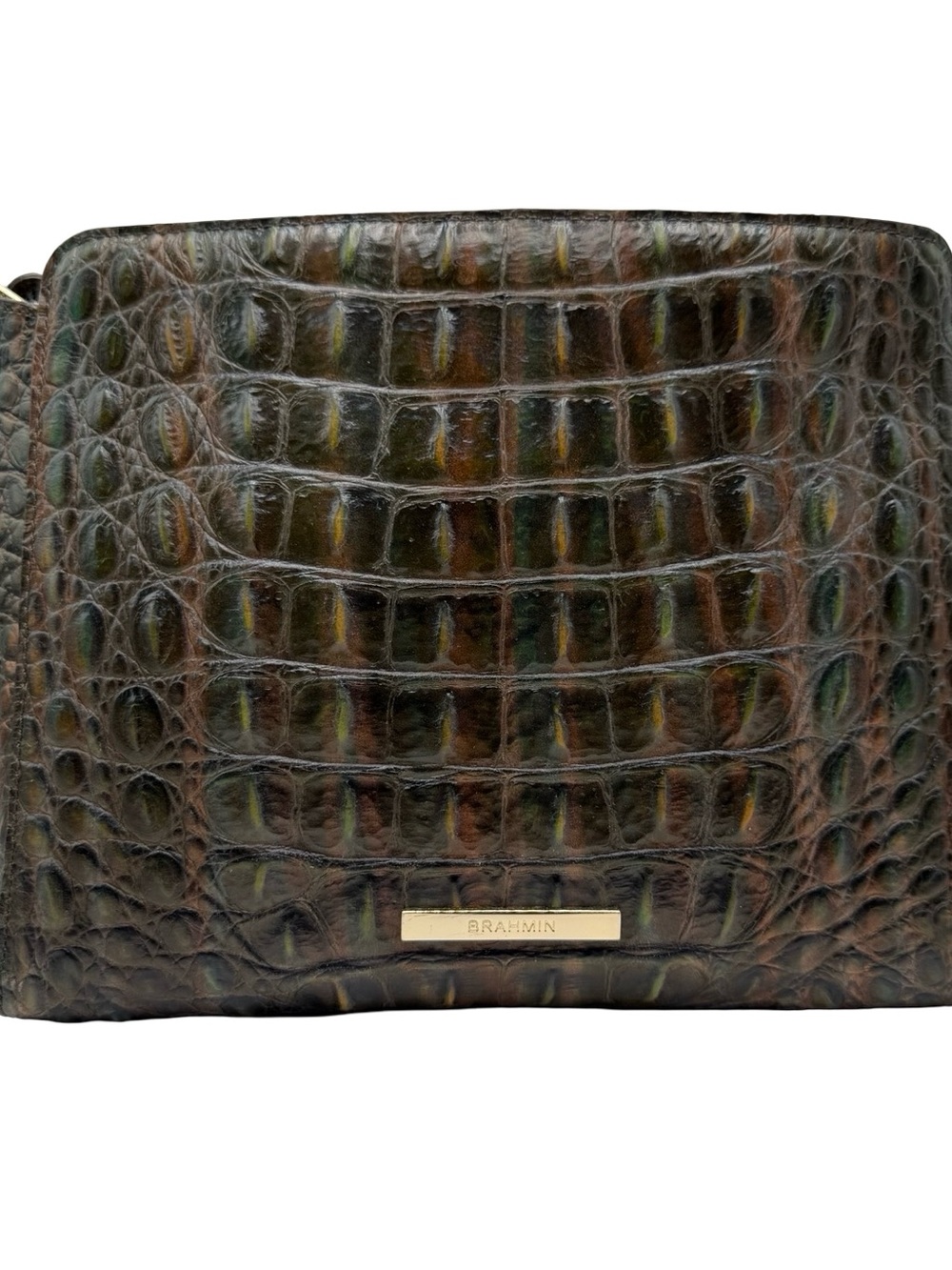 Brahmin Hillary in Moss Rowan